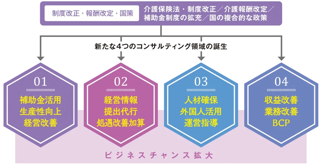 4つのコンサルタント領域