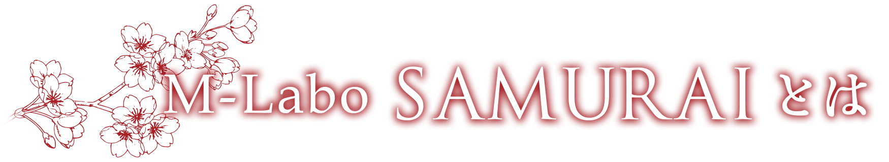 M-Labo SAMURAI とは？